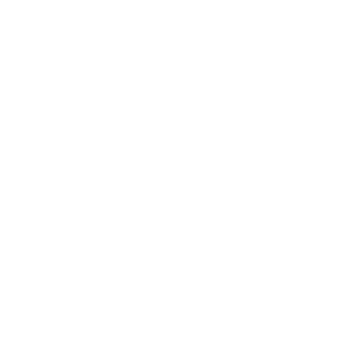 EGENVA white transparent logo